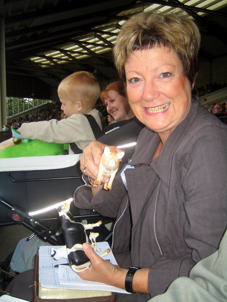 Silkeborg Danish District Convention