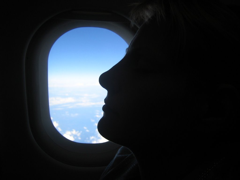 Flight back to Copenhagen