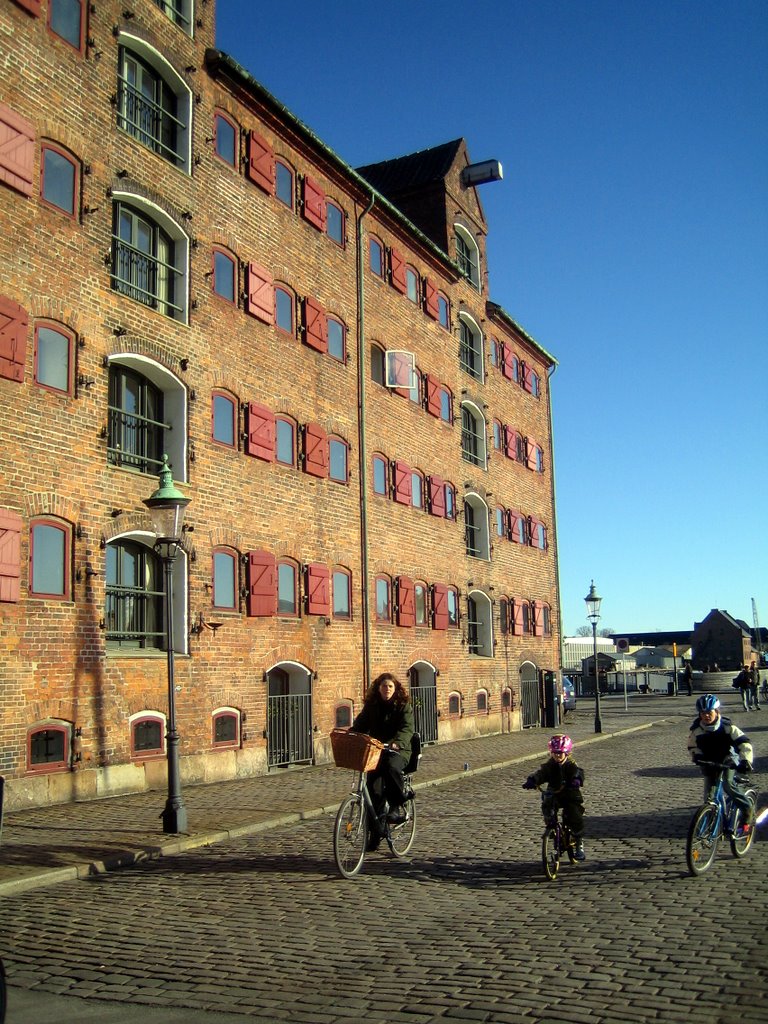 Sightseeing in Copenhagen
