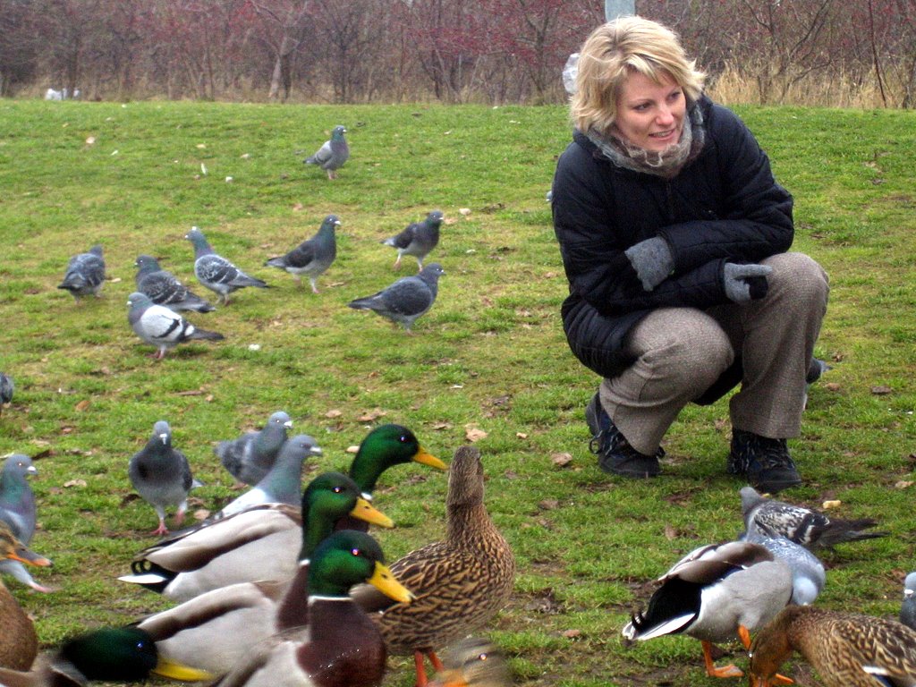 Feeding the ducks at Valby park