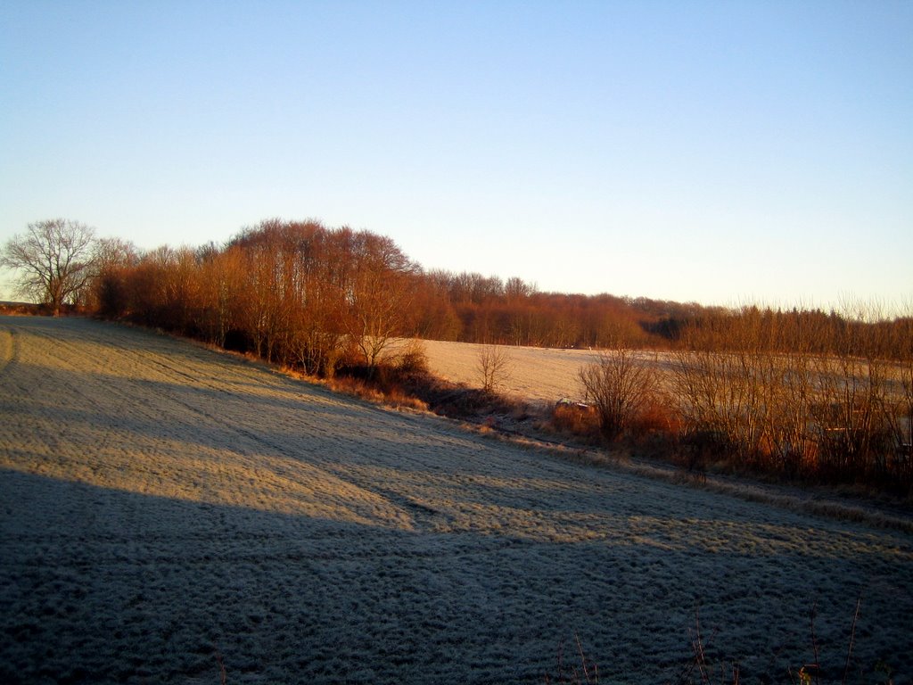 Winter photos from Stågerup
