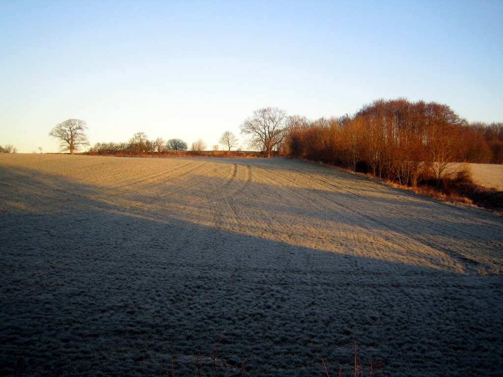 Winter photos from Stågerup