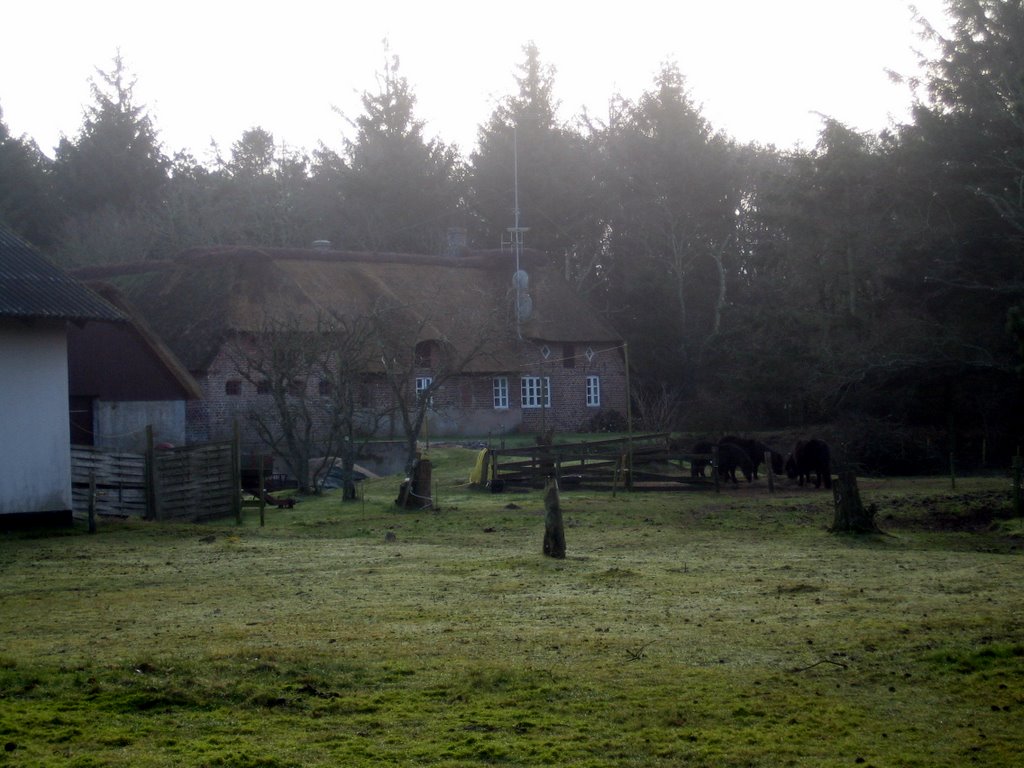 A week off in Henneby