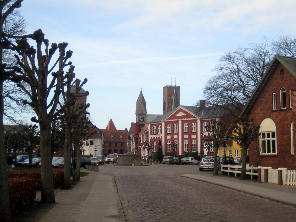 Ribe