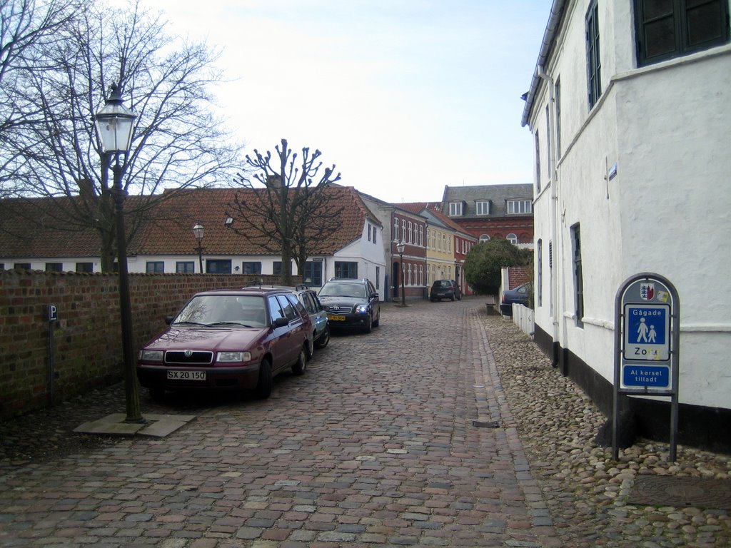 Ribe