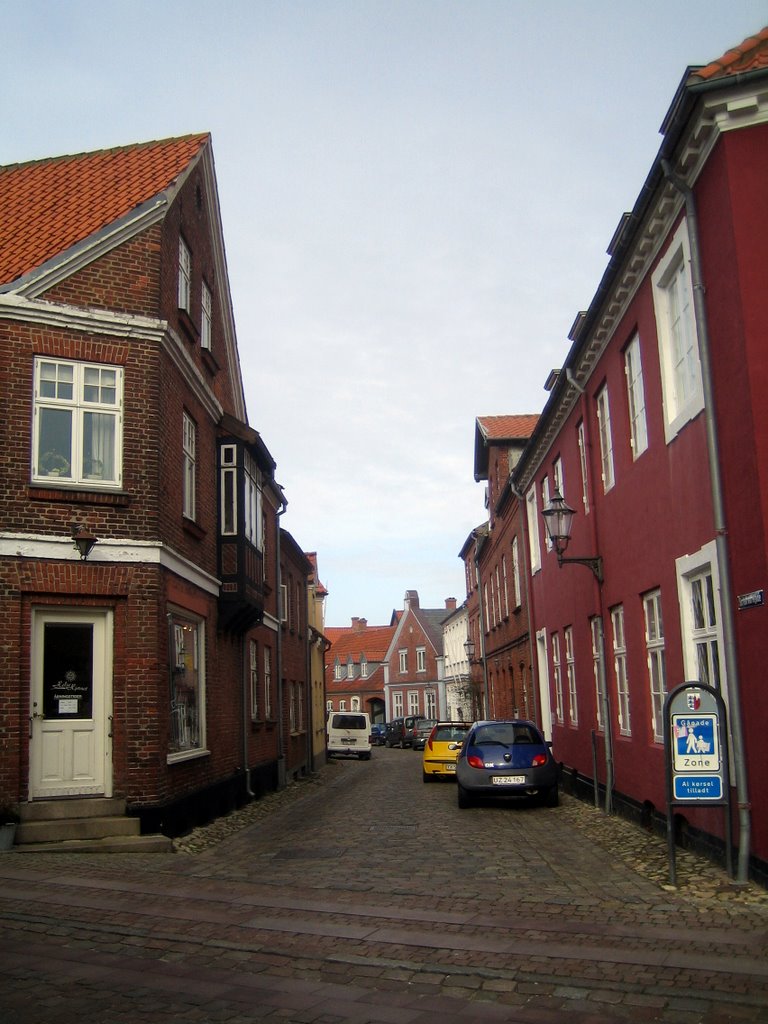 Ribe