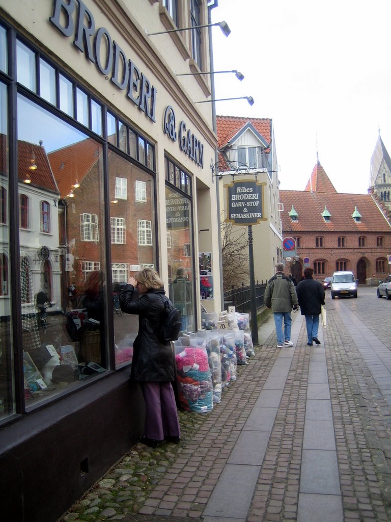 Ribe