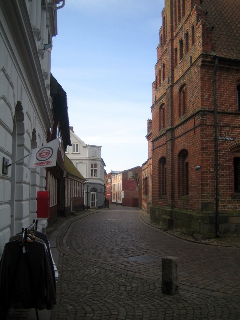 Ribe