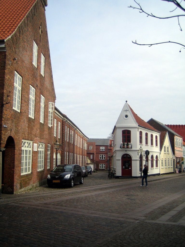 Ribe