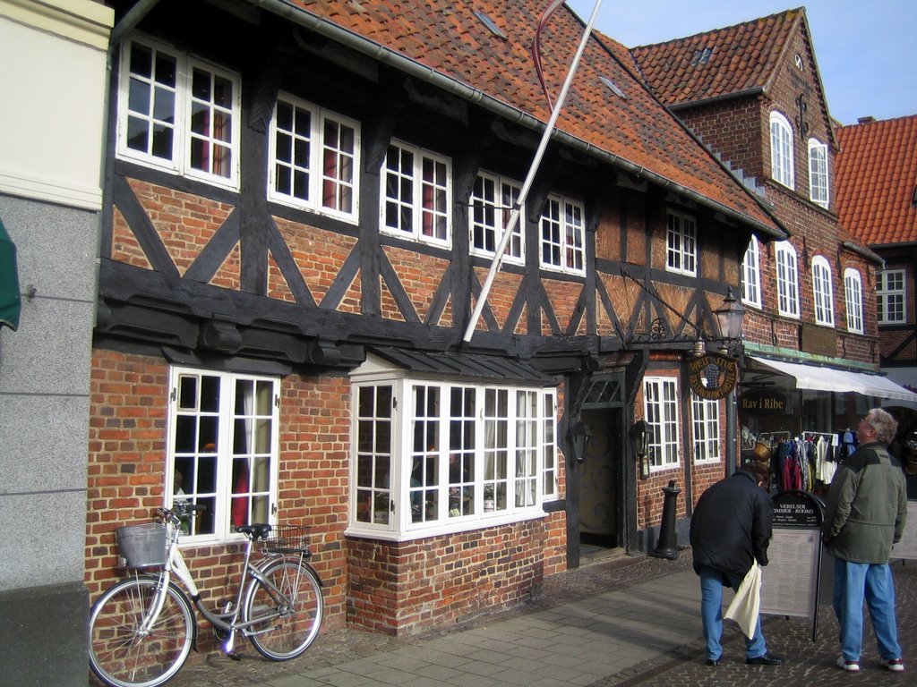 Ribe