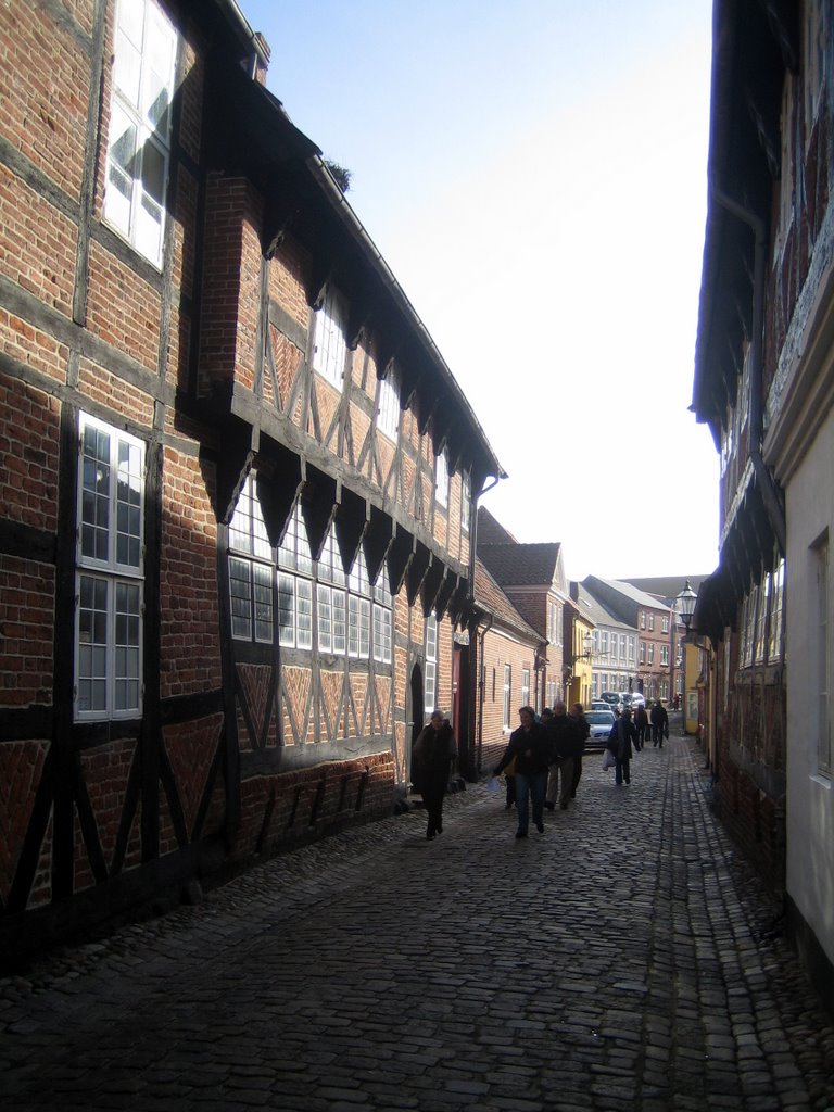 Ribe