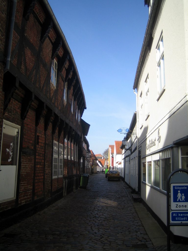 Ribe