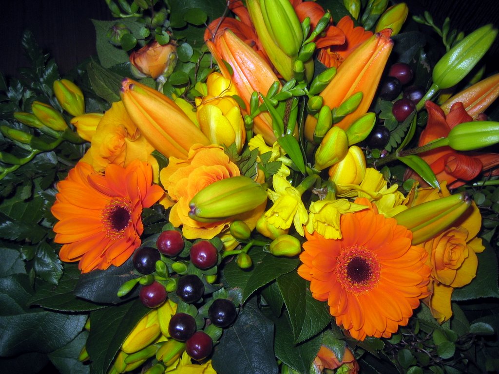 Wedding Anniversary in Stenstrup