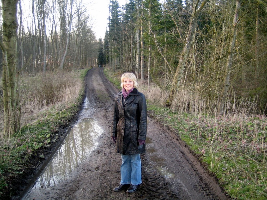 A walk in the forest.