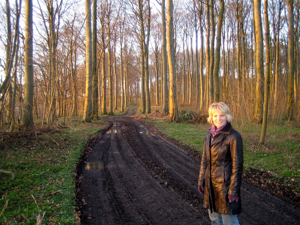 A walk in the forest.