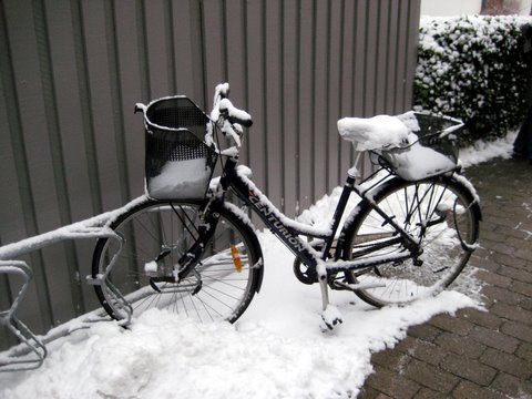 Snow photos
