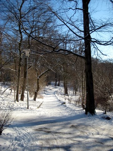 Snow photos