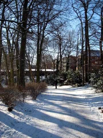 Snow photos