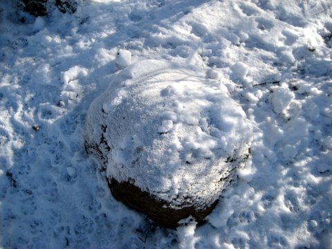 Snow photos