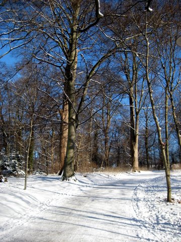 Snow photos