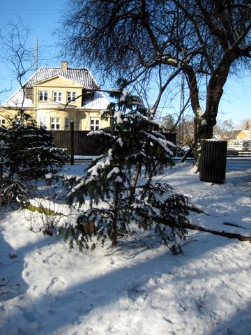 Snow photos