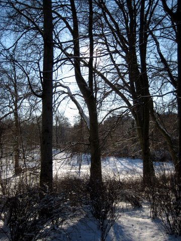 Snow photos
