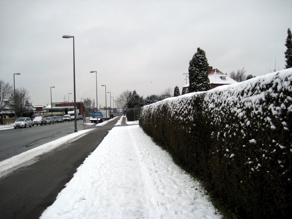 Snow photos February 2008