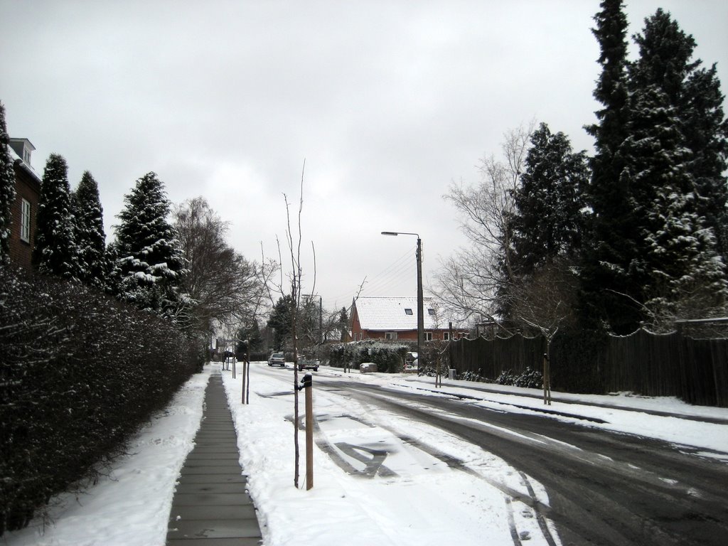 Snow photos February 2008