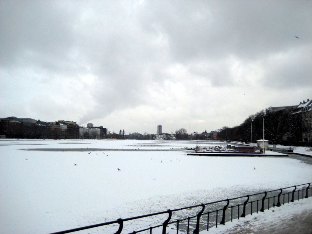 Snow photos February 2008