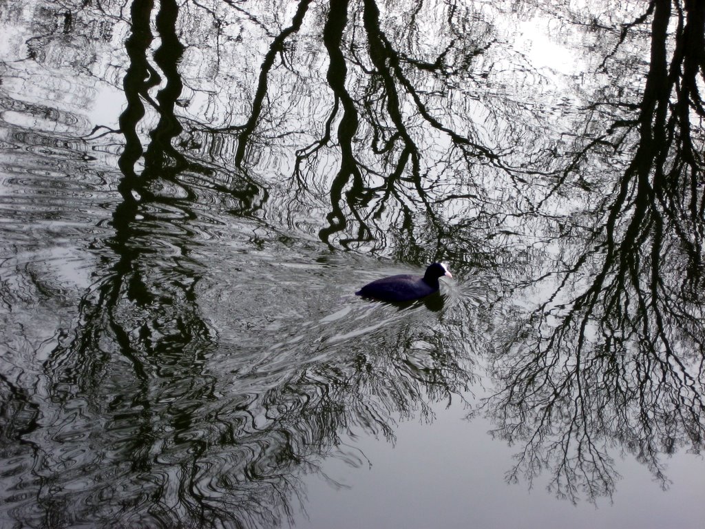 Kastellet and other photos from around CPH