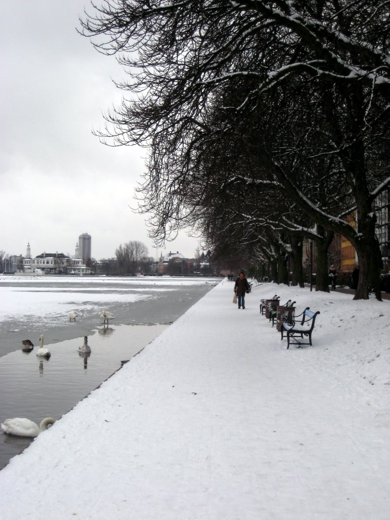 Snow photos February 2008