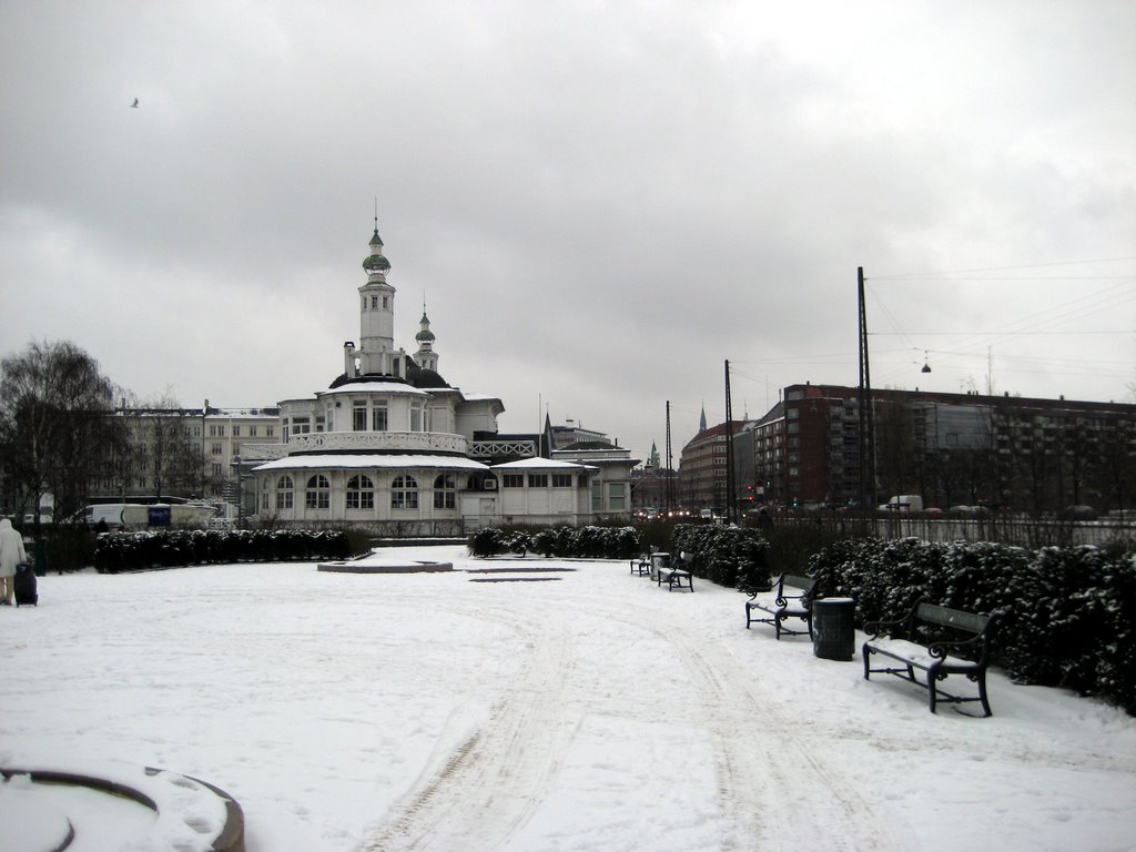 Snow photos February 2008