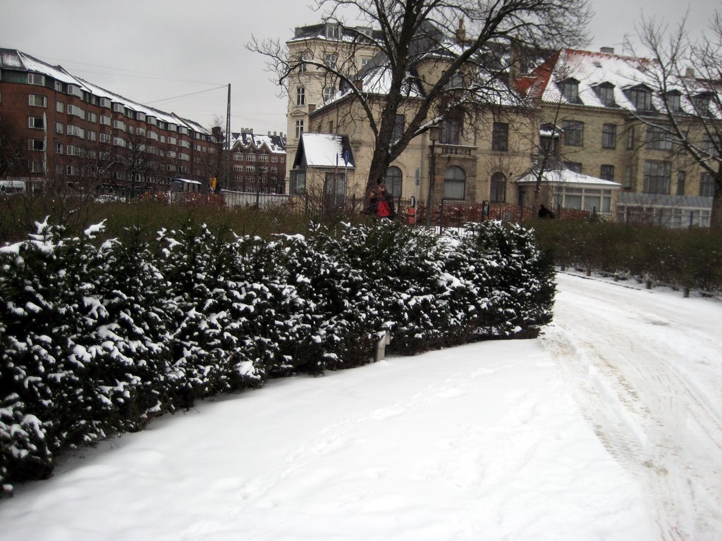 Snow photos February 2008