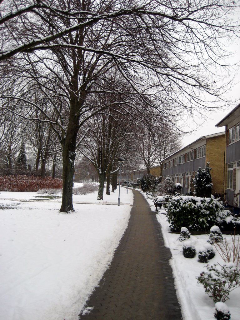 Snow photos February 2008