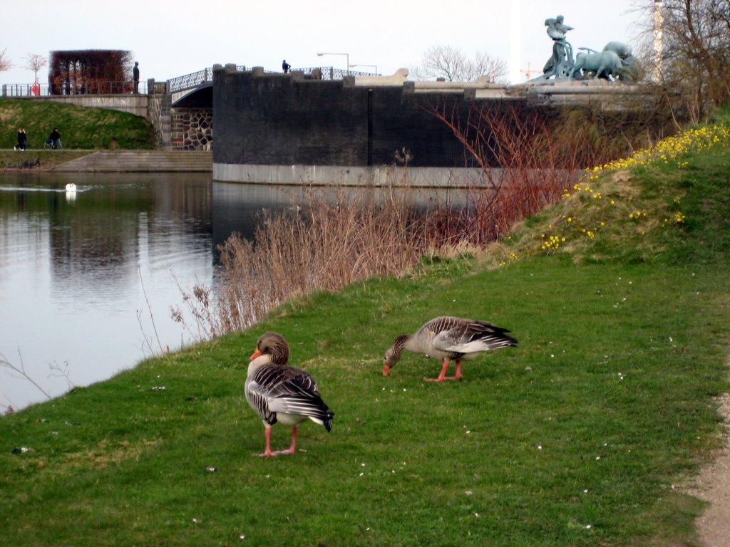 Kastellet and other photos from around CPH
