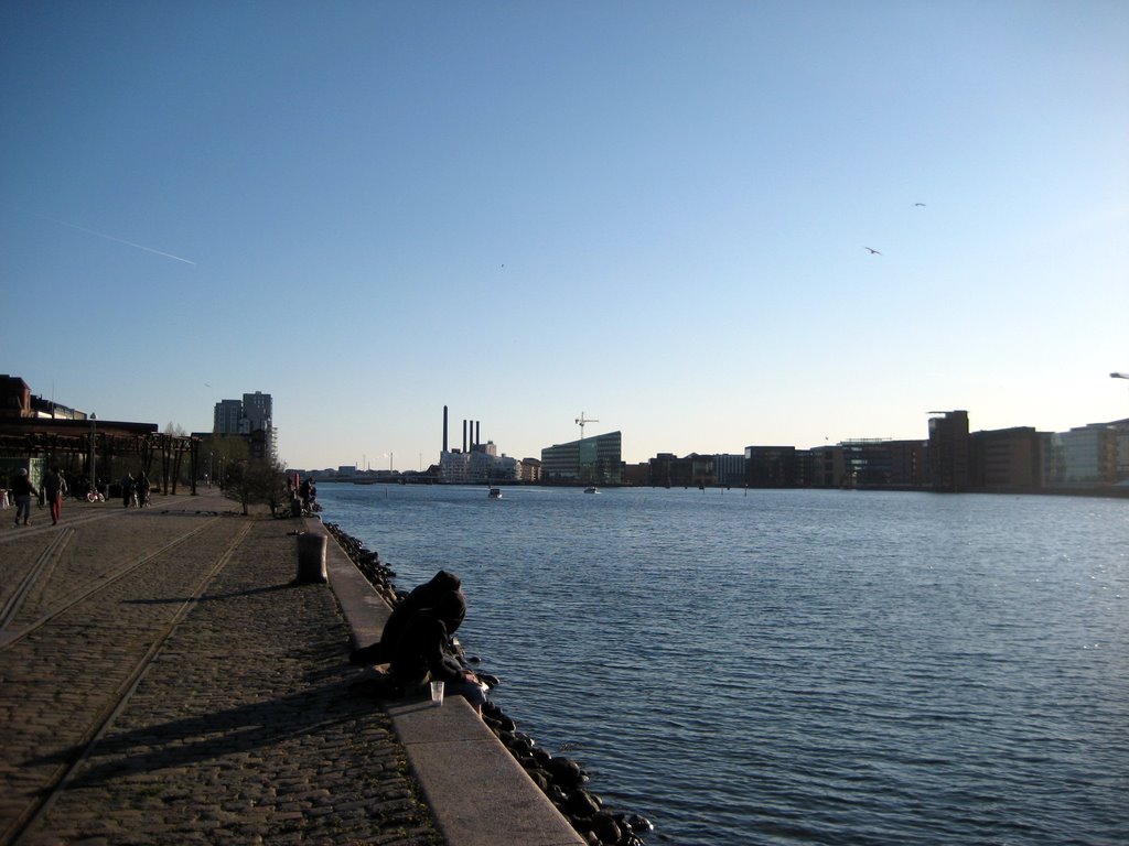Dinner at Islands Brygge