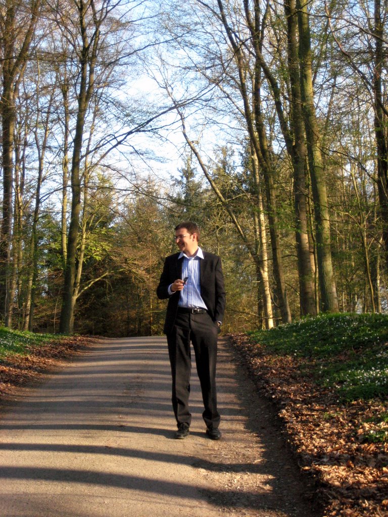 Danish SAD and a walk in the forest.