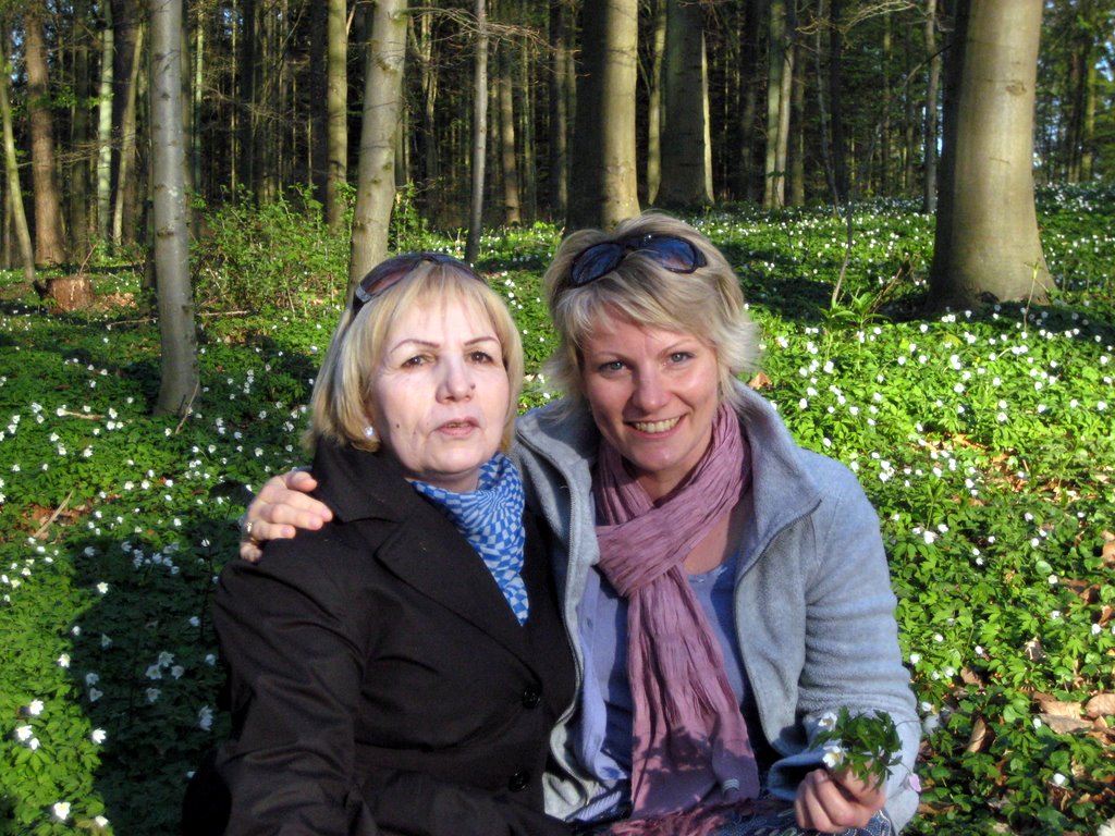Danish SAD and a walk in the forest.