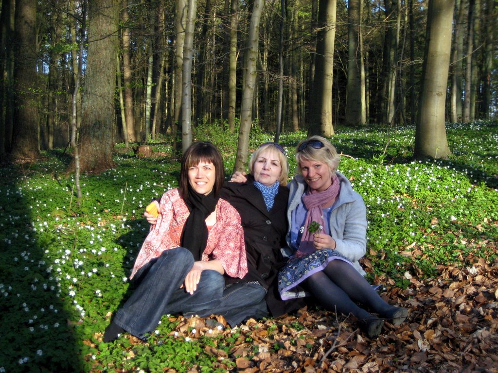 Danish SAD and a walk in the forest.