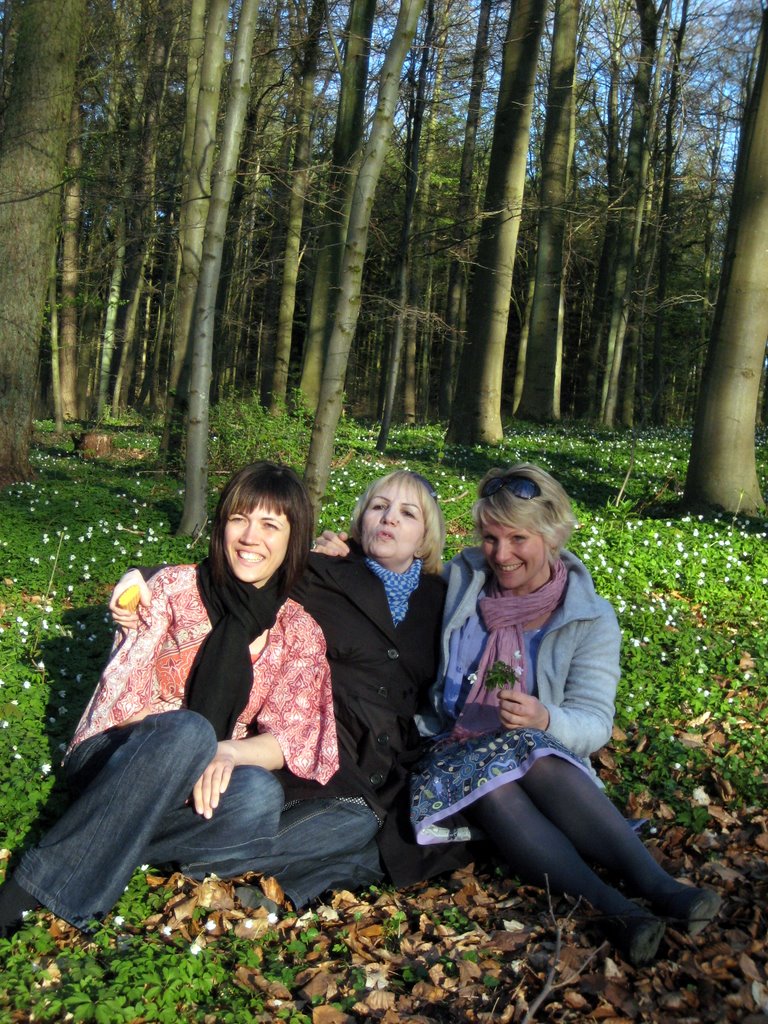 Danish SAD and a walk in the forest.