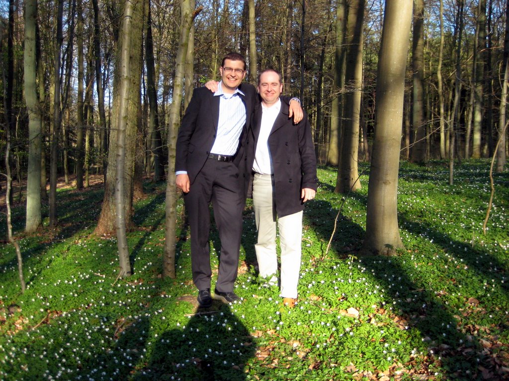 Danish SAD and a walk in the forest.