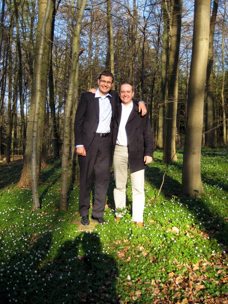 Danish SAD and a walk in the forest.