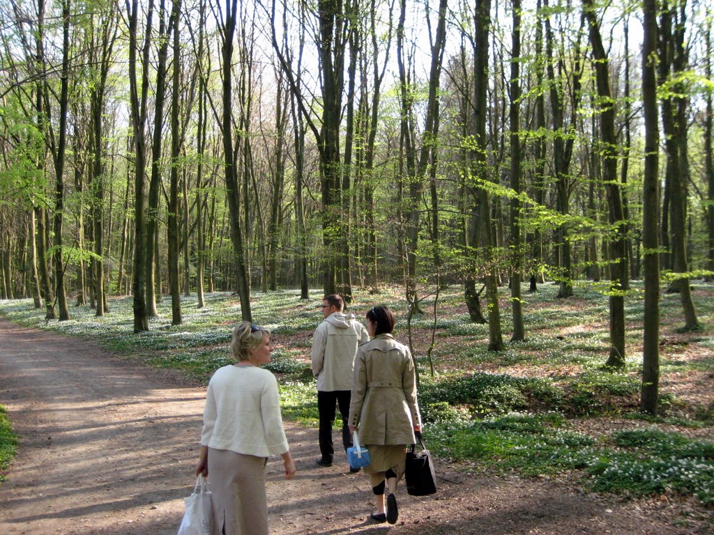 Coffee break in a forest near Fredensborg