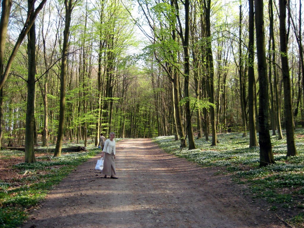 Coffee break in a forest near Fredensborg