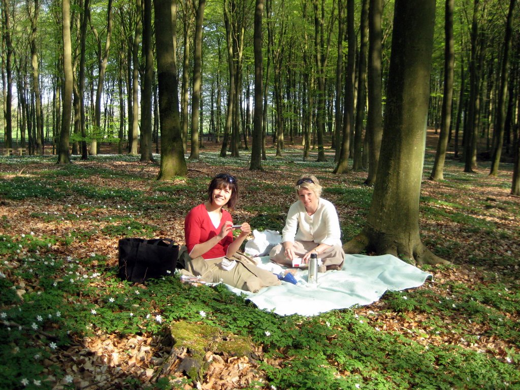 Coffee break in a forest near Fredensborg
