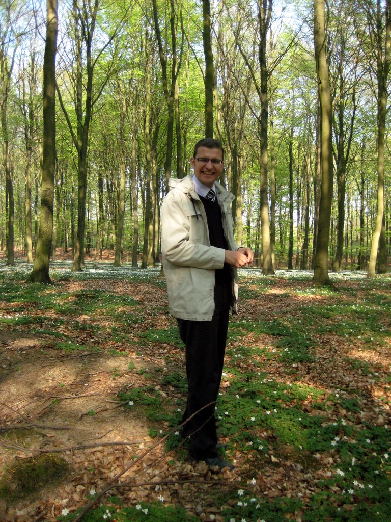 Coffee break in a forest near Fredensborg