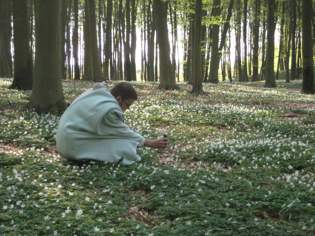 Coffee break in a forest near Fredensborg