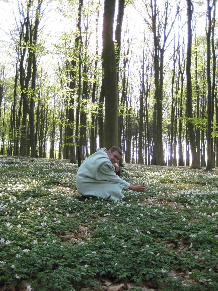 Coffee break in a forest near Fredensborg