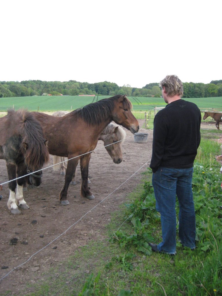 Family BBQ in Staagerup