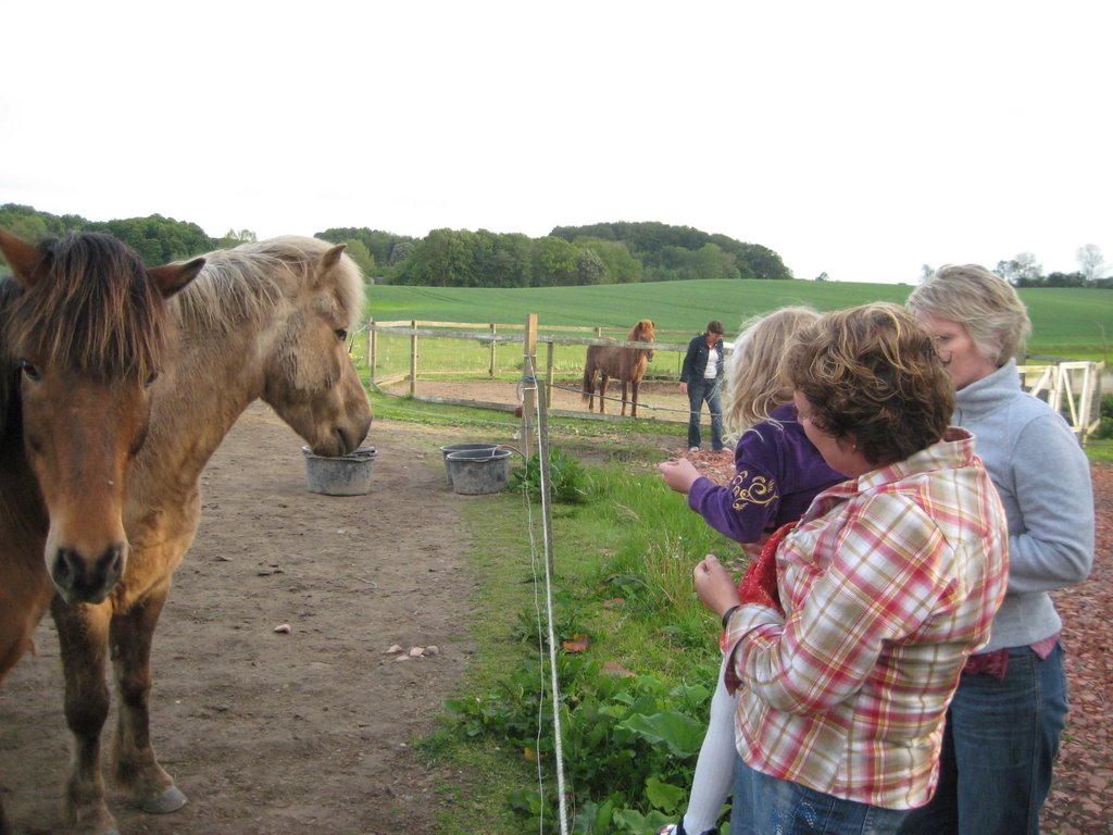 Family BBQ in Staagerup